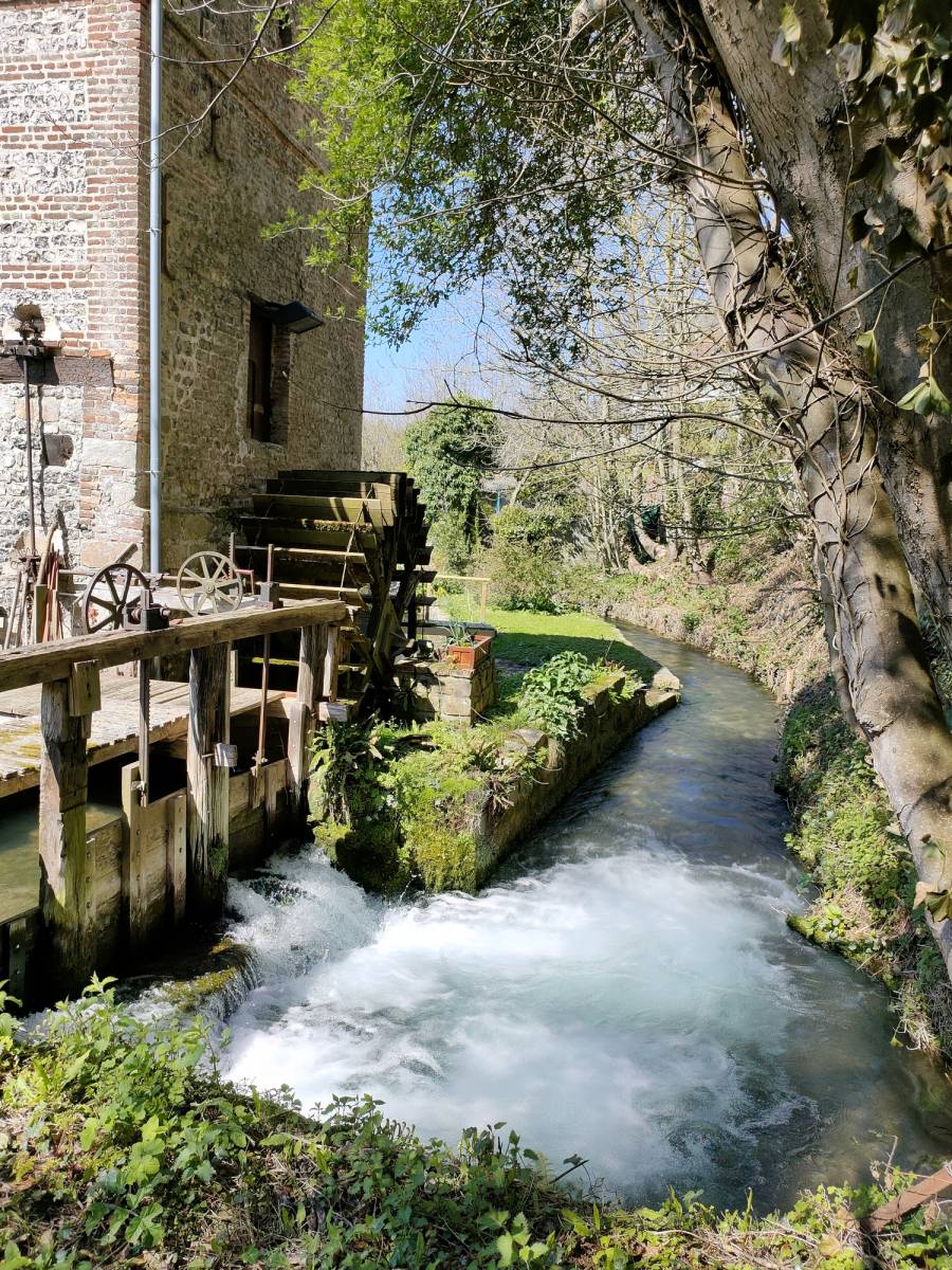 Flo Conciergerie la Veule plus petit fleuve de France