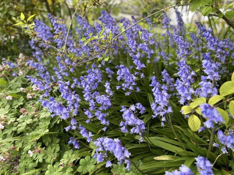 Prestations de ménage pour la location Airbnb à Dieppe 76