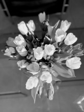 Comment choisir son traiteur pour un mariage à Dieppe en Normandie ?