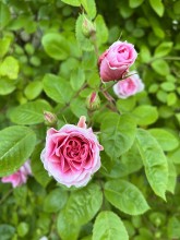 Services de conciergerie en Normandie