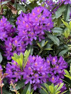 Conciergerie privée vs gestion classique en Normandie : quelle solution choisir