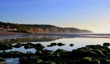 Comment optimiser ses revenus locatifs sur la Côte d'Albâtre en 2025 