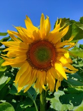 Services de gestion locative de Flo Conciergerie