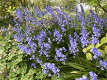 Prestations de ménage pour la location Airbnb à Dieppe 76