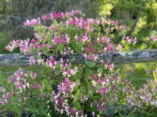 Conciergerie privée à Dieppe 76