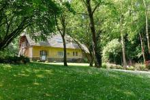 Vue du jardin sous les arbres à Varengeville sur mer 76